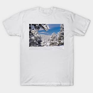 The Window into the Winter T-Shirt